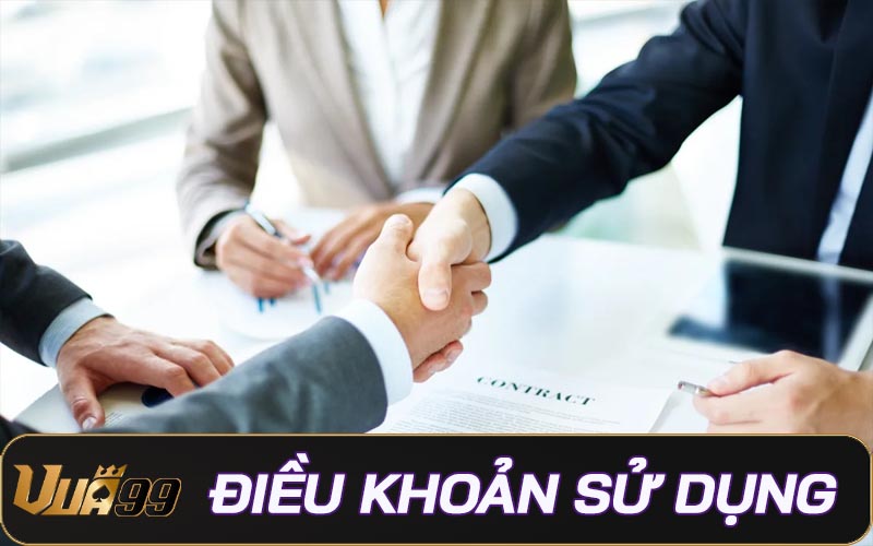 Điều khoản sử dụng Vua99 - Quy định khi tham gia giải trí