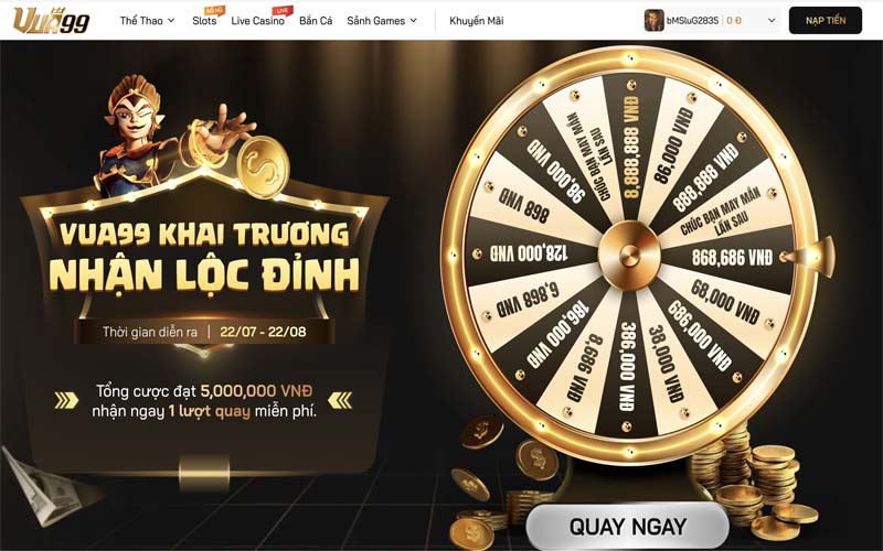 thong tin tong quan ve trang chu vua99